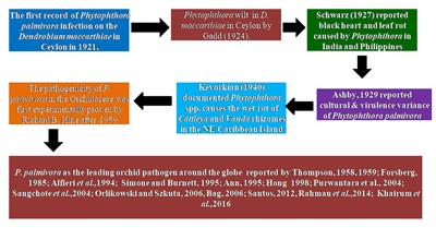 Destructive Phytophthora on orchids: current knowledge and future perspectives